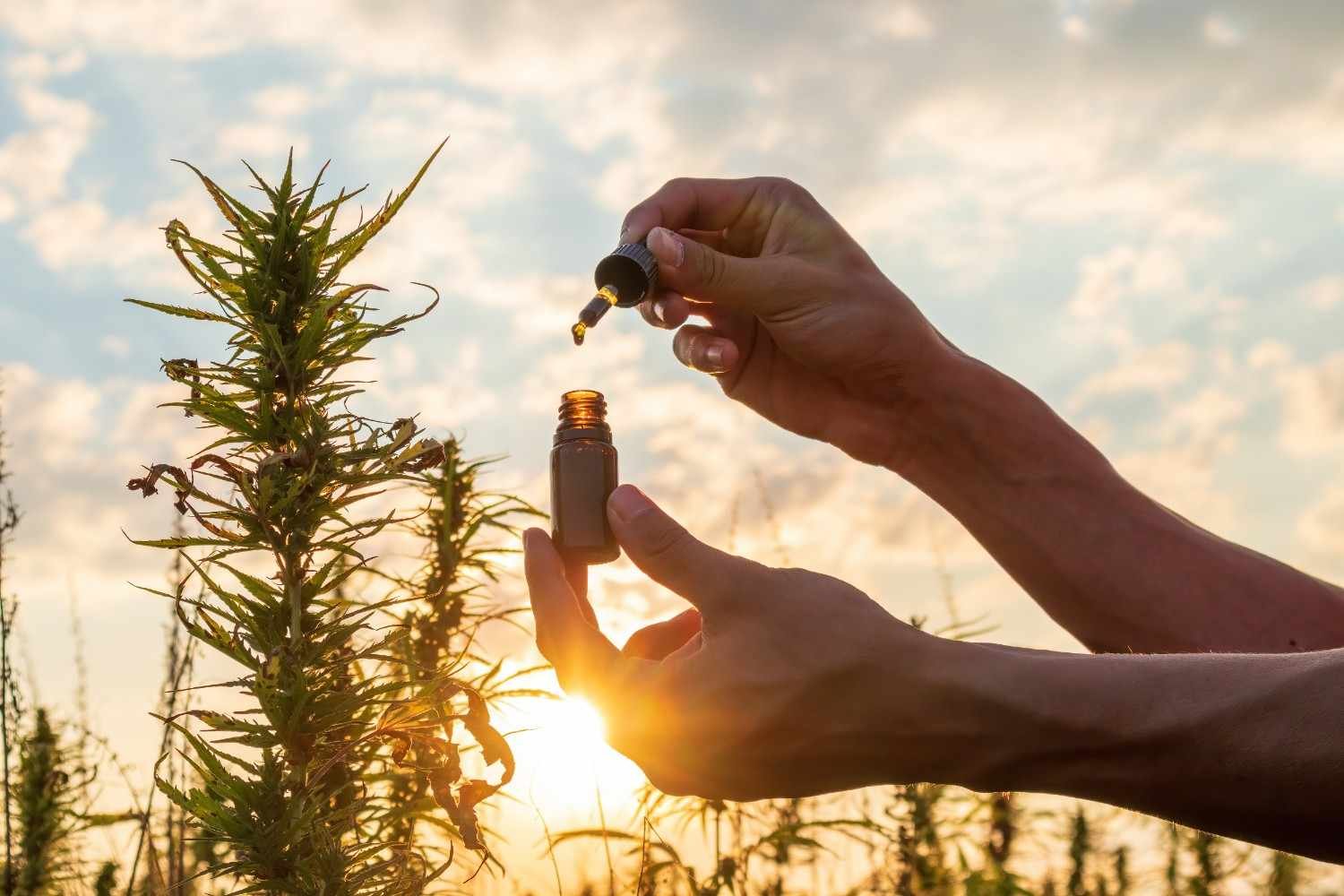 How Long Does CBD Take to Work?