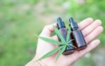 How Cannabis Enhances Wellness Routines
