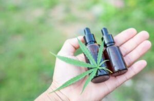 How Cannabis Enhances Wellness Routines