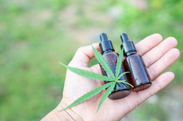 How Cannabis Enhances Wellness Routines
