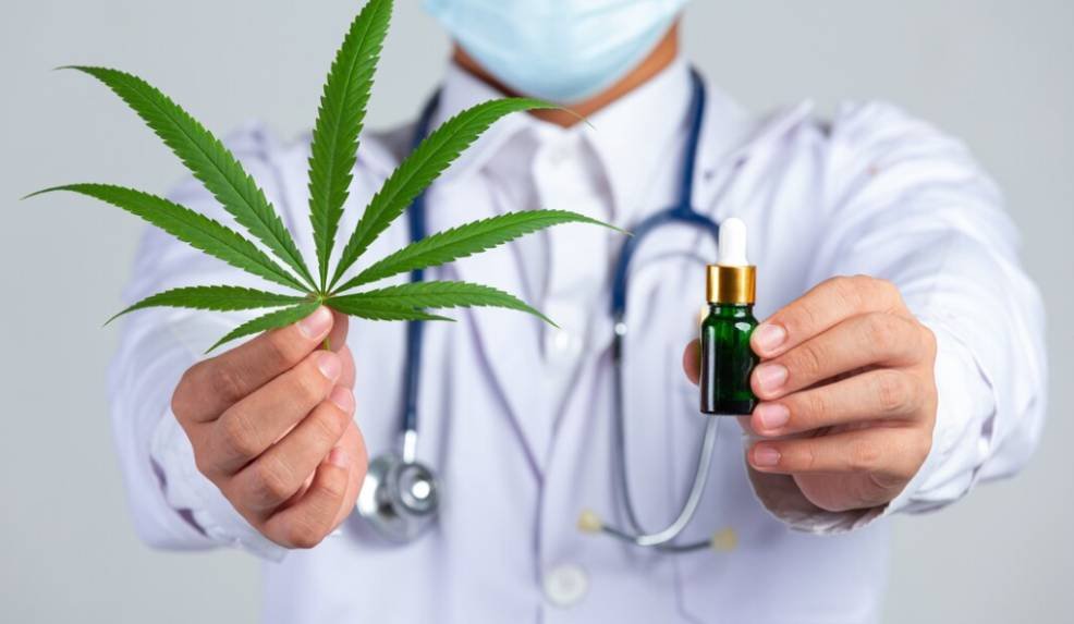 How to Incorporate CBD Into Your Daily Wellness Routine