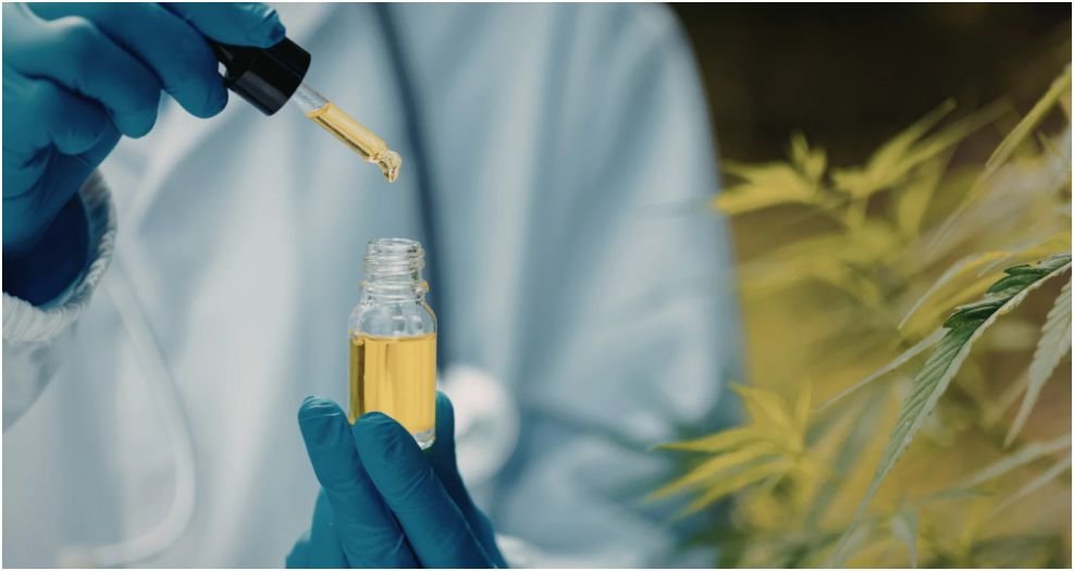 Cannabis-Infused Wine Pairings: The Perfect Match for Your Next Sip