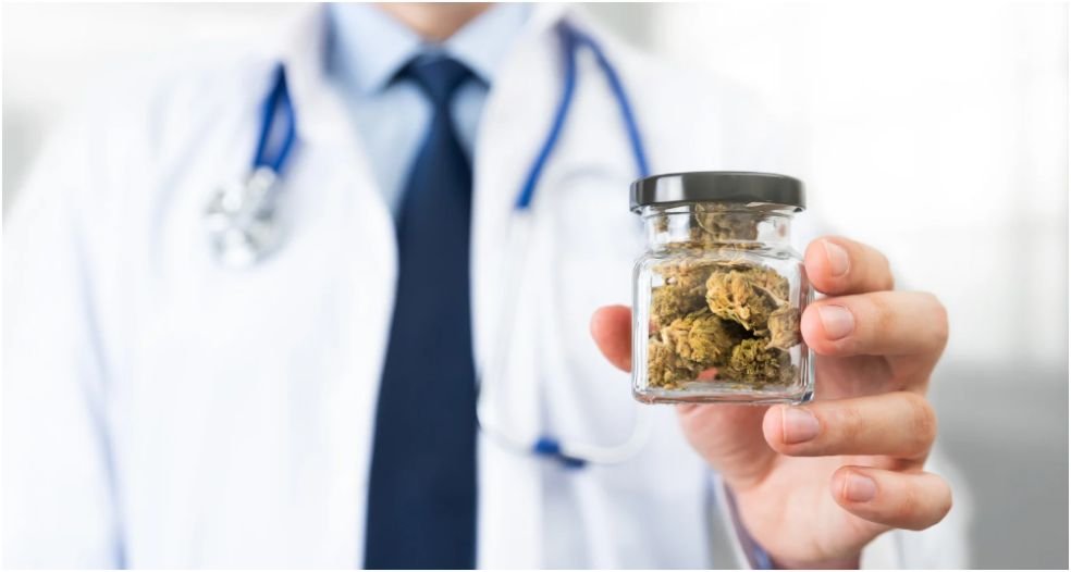 Craft cannabis pairings for events