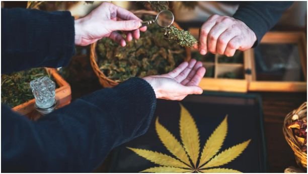 How to Enjoy a Luxury Cannabis Retreat to the Fullest