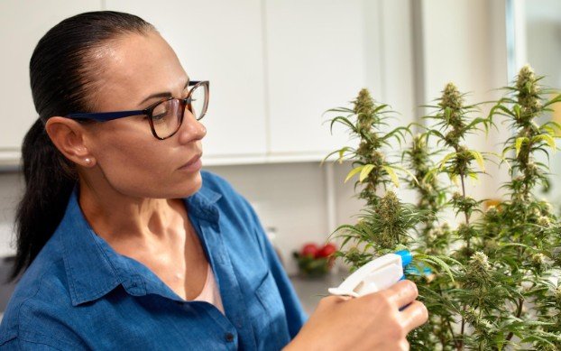 Using the wrong base weakens infusion